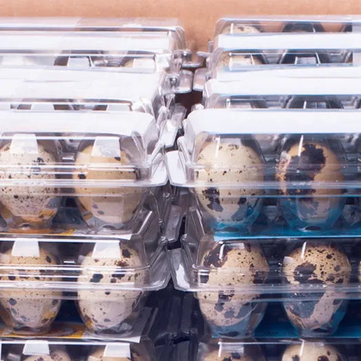 Quail Egg packaging close up