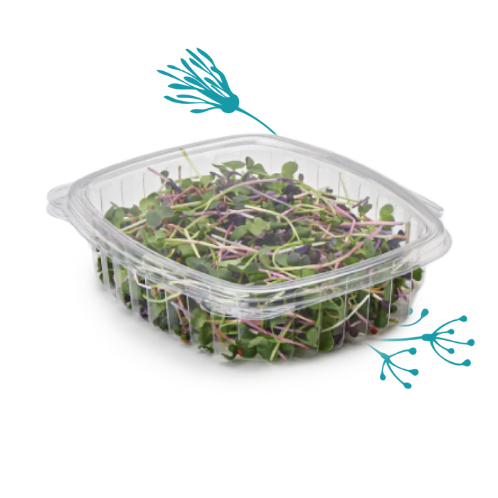 Design image showing a clamshell package with microgreens