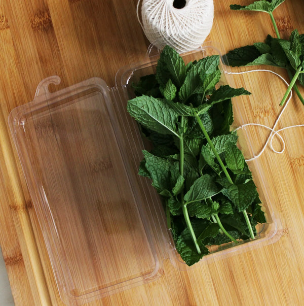 Mint in an open hanging herb container.