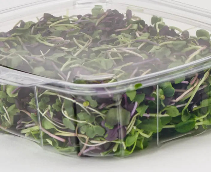 Goodguard container with microgreens.