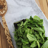 Sustainable Square 48 oz. Top Seal Multi-purpose Package full of fresh greens