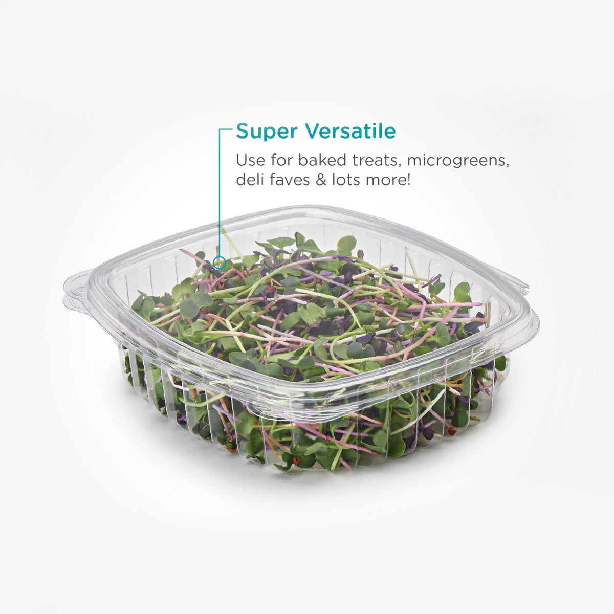24 oz Multi Purpose Clamshell Containers | Sustainable Food Packaging.