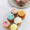 compostable bioplastic box with 6 mini muffins 2.25 inches in diameter