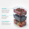 16 oz. (1 lb.) Vented Fruit & Veggie Package (0304)