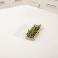 Eco friendly, compostable bioplastic 0.25 oz. hanging herb packaging containing thyme.