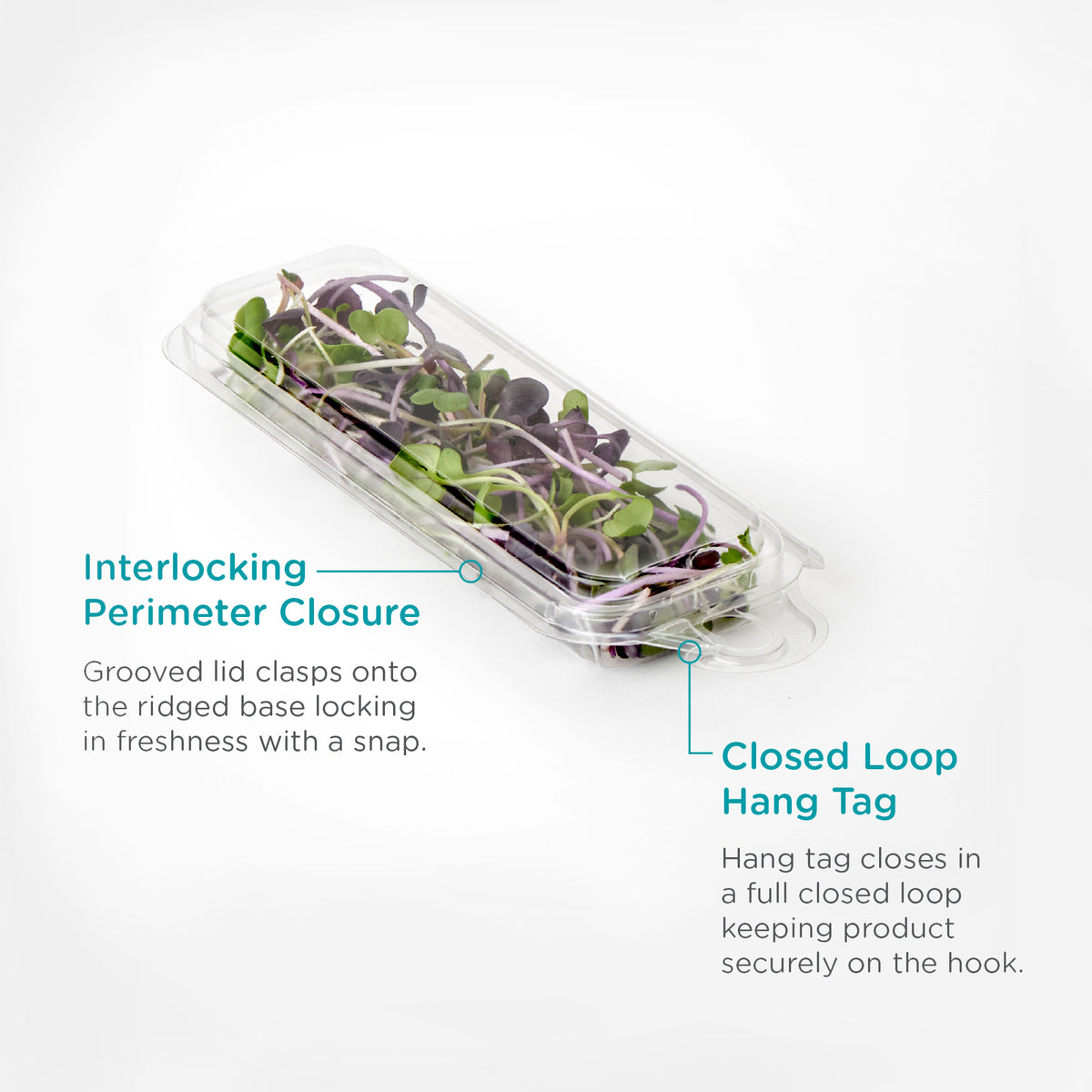 Compact Hanging Microgreen Container | Clamshell Packaging for Herbs.