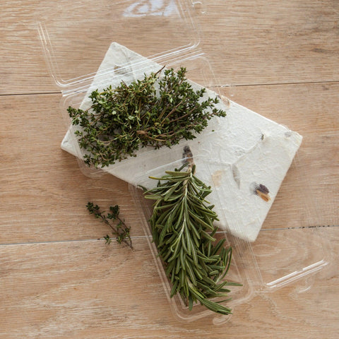 Eco friendly, compostable bioplastic 0.75 - 1 oz. hanging herb packaging containing rosemary and thyme.