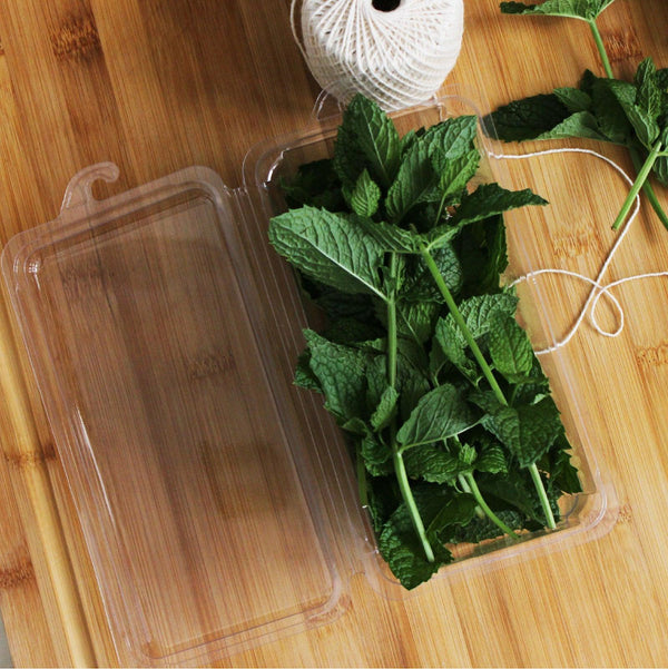 Eco friendly, compostable bioplastic 2 - 3 oz. hanging herb packaging containing mint.