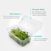 Open clear container filled with pea shoots.